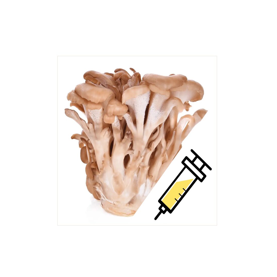 azMaitakeSyringe