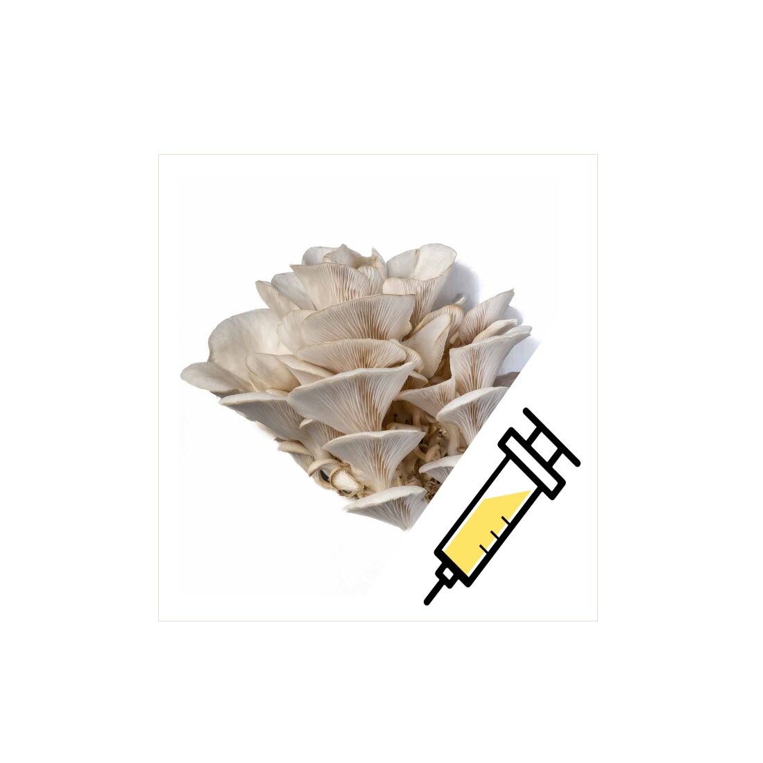 azOysterSyringe