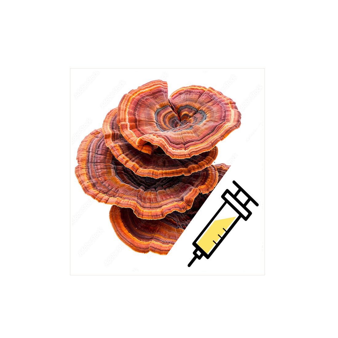 azReishiSyringe