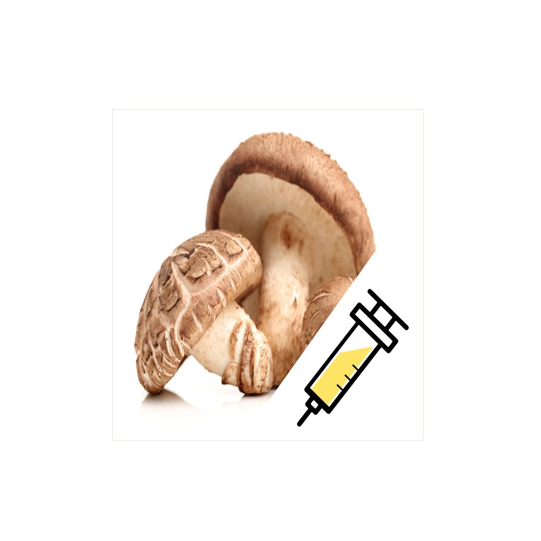 azShitakeSyringe
