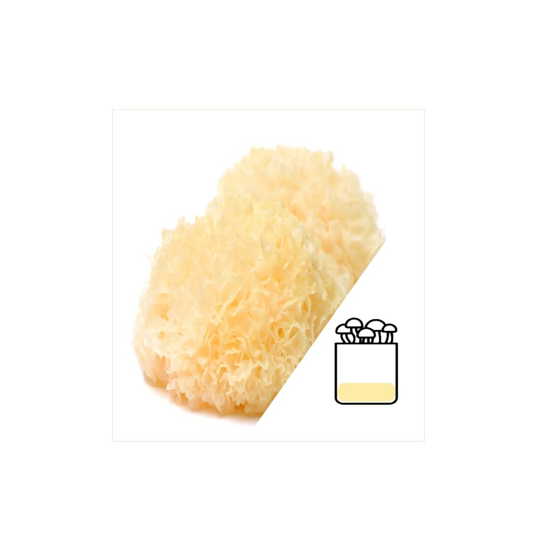 azTremellaGrow