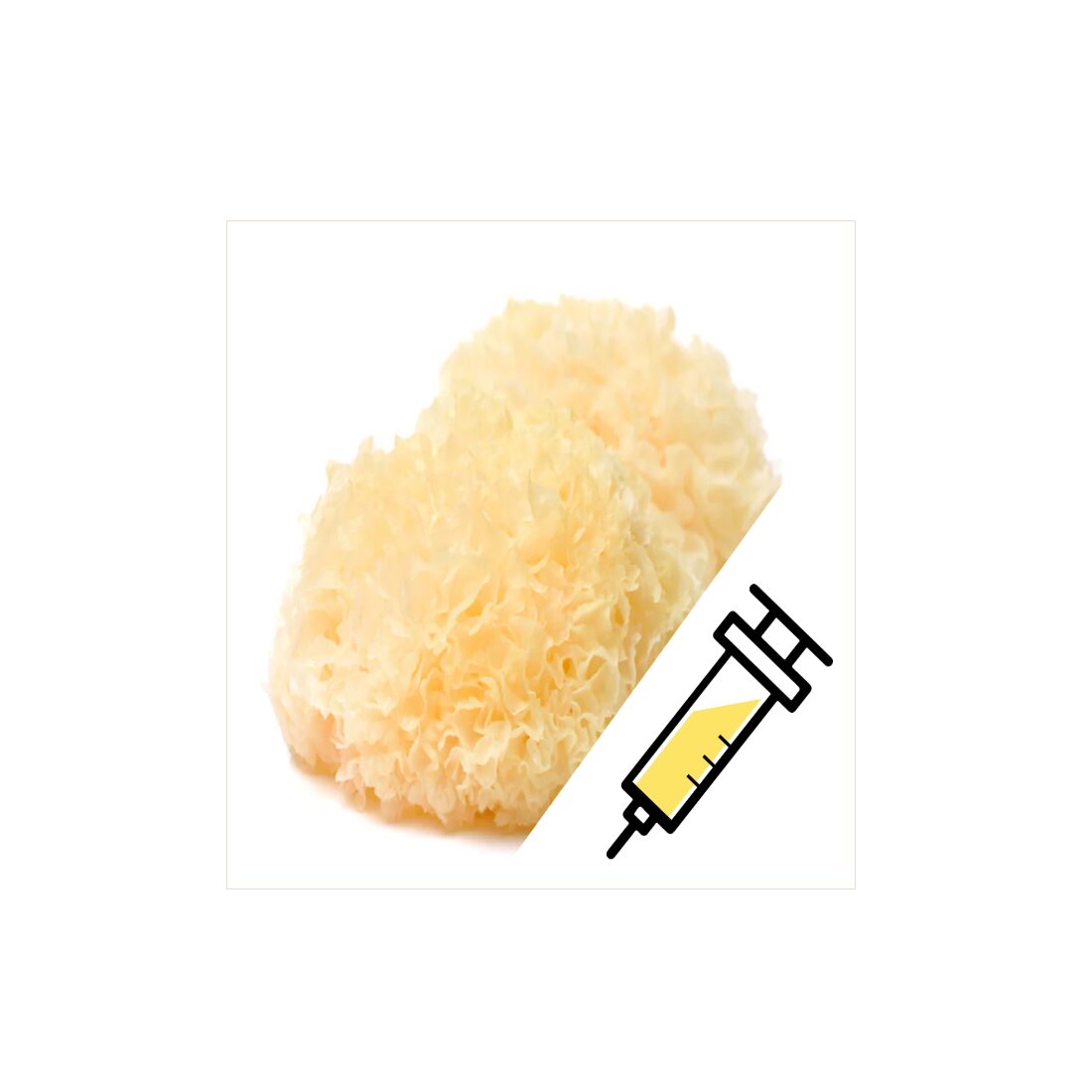 azTremellaSyringe