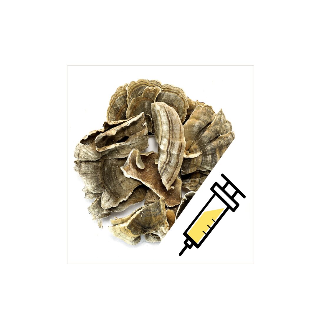 azTurkeySyringe