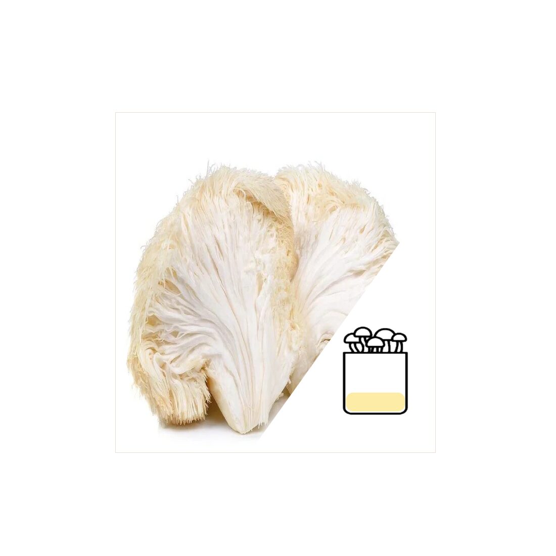 azlionsmaneGrowbag