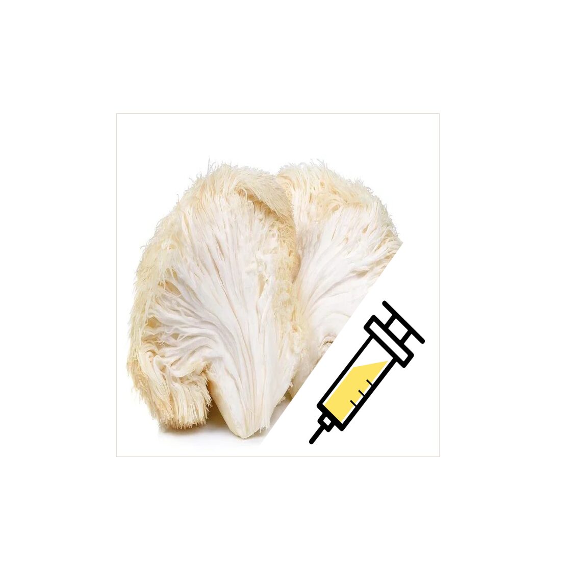 azlionsmaneSyringe