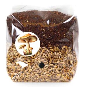 Grow Bags
